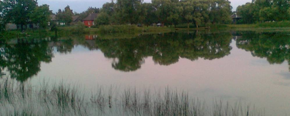 Фотография Мягкого