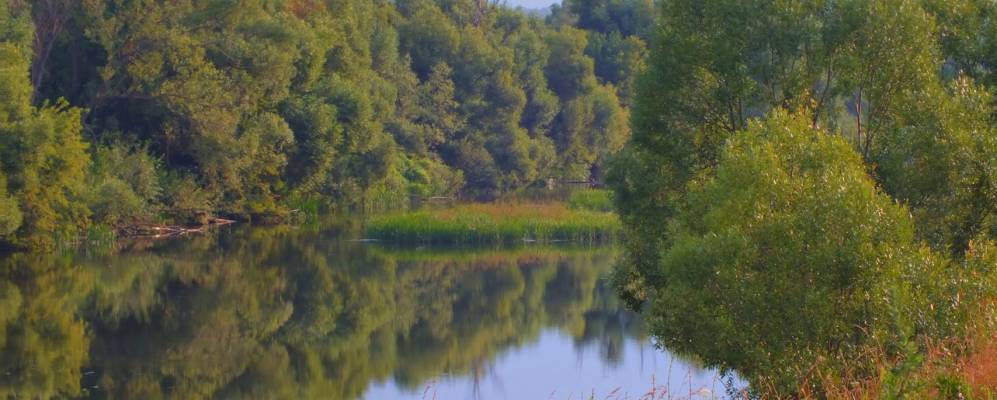 Фотография Красной