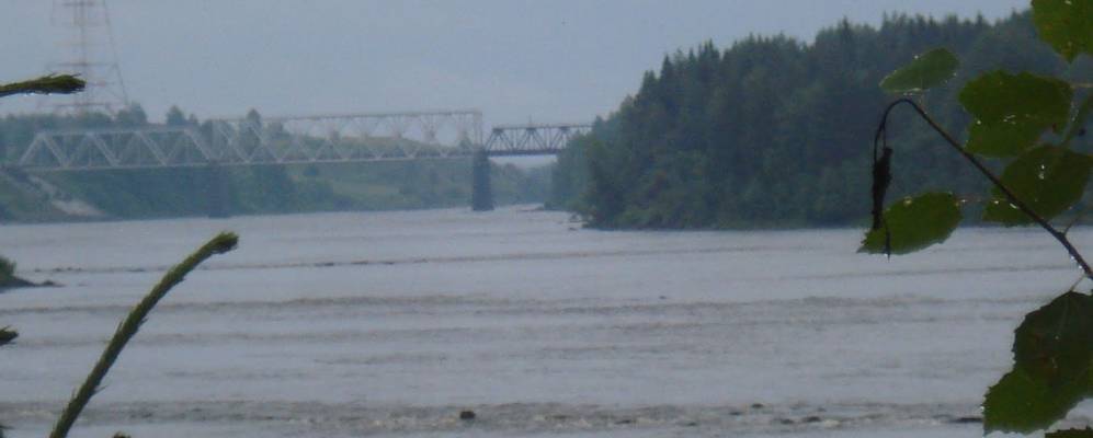 
            Фотография Павловской