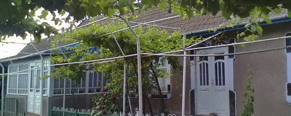 
            Фотография Белолесья