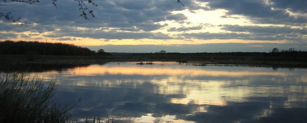
            Фотография Никольского Первого
