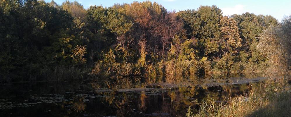 
            Фотография Рог-Измайловского