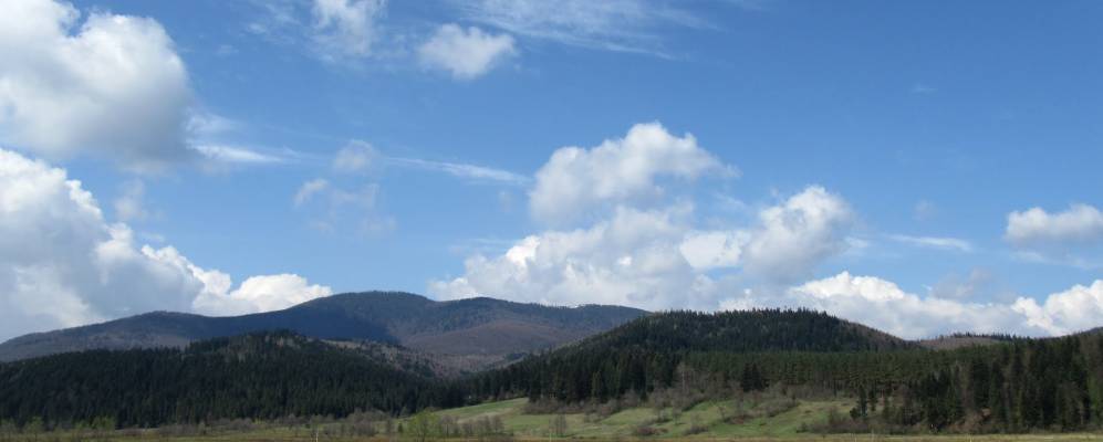 
            Фотография Старого Мизуни