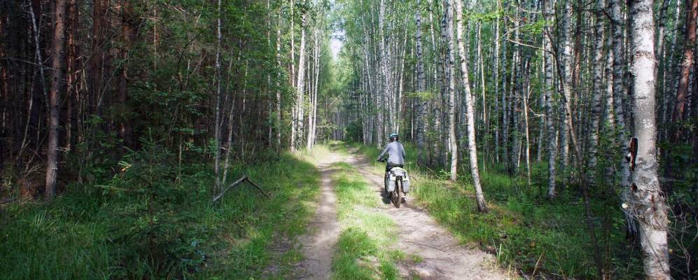 
            Фотография Нагорного