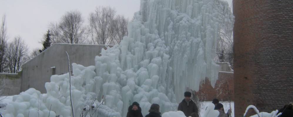 
            Фотография Белки