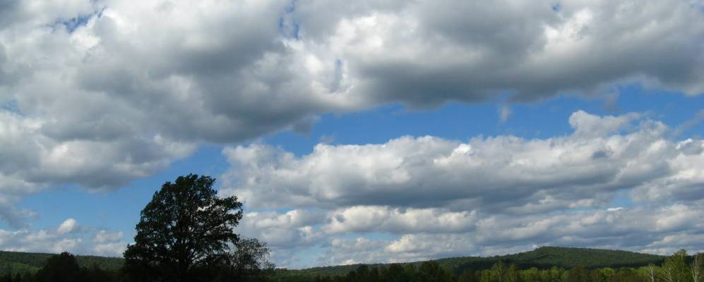 
            Фотография Родинского