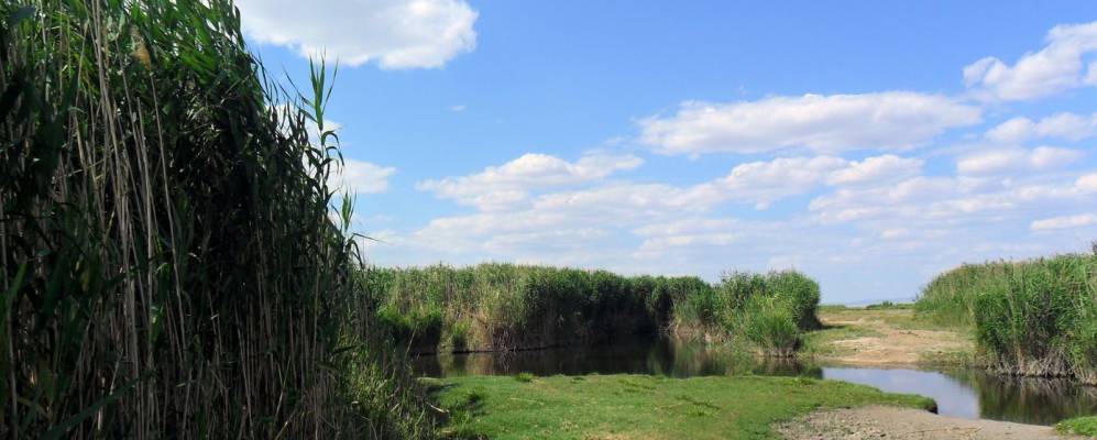 
            Фотография пос. Актобе