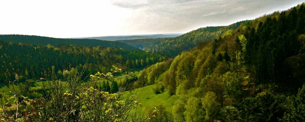 
            Фотография Зеельбаха