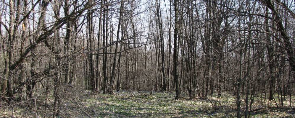 
            Фотография Николаевки