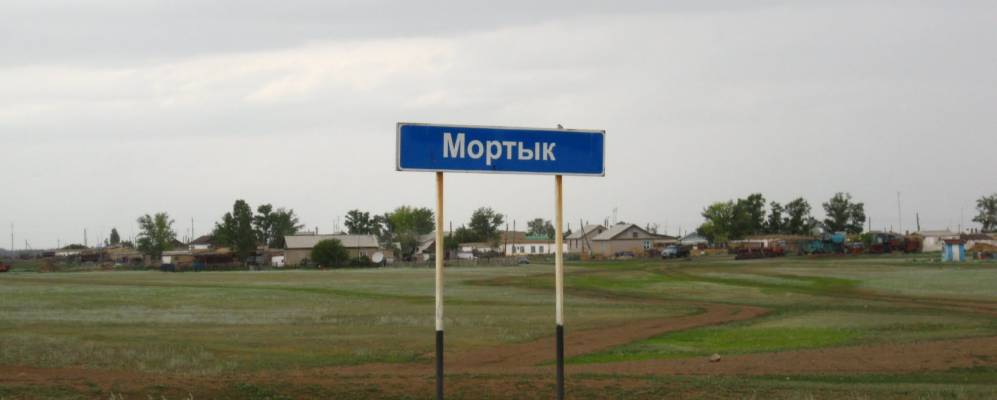 
            Фотография Мортыка