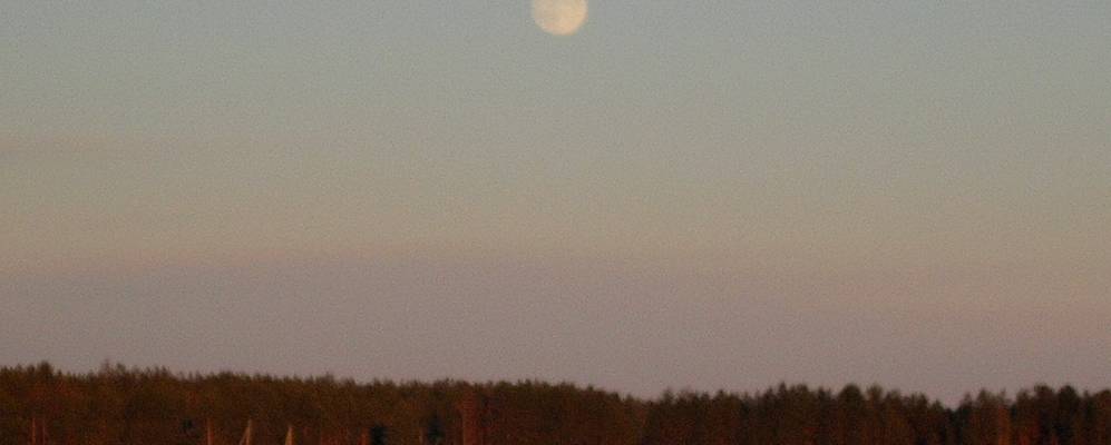 
            Фотография Пиголей