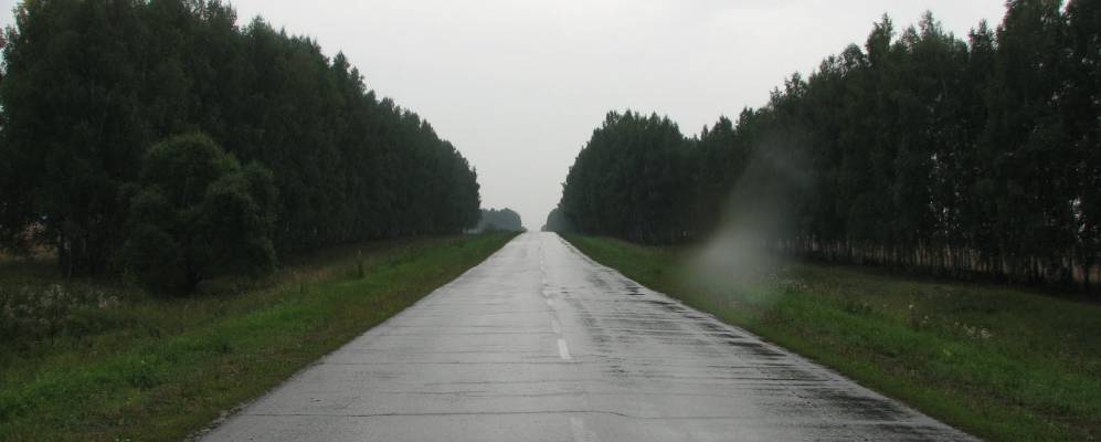 Фотография Нового Поля