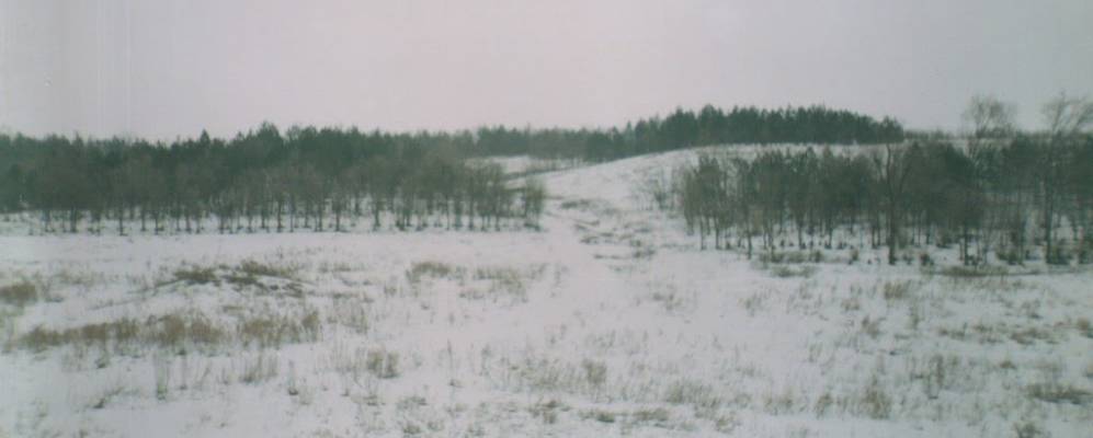
            Фотография Петровки