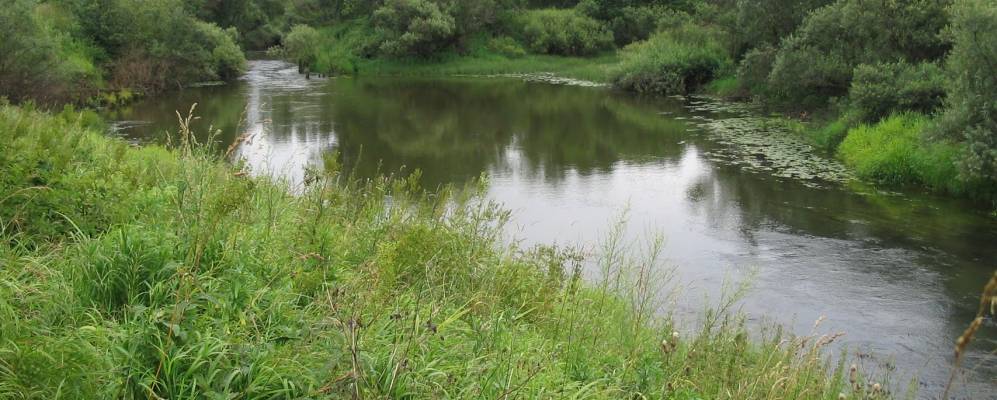 
            Фотография Хмелевки