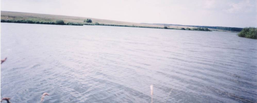 
            Фотография Ермаковского