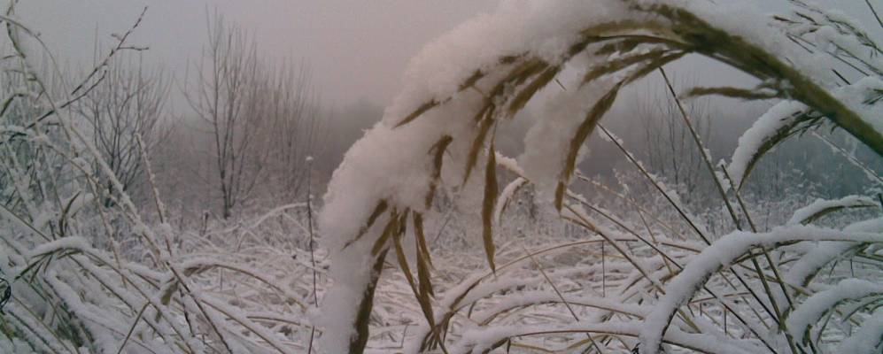 
            Фотография Лукьяново