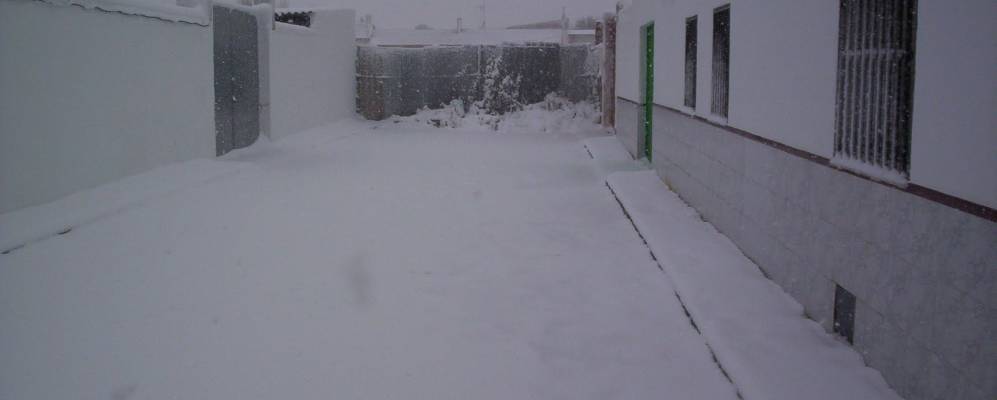 Фотография Лильо