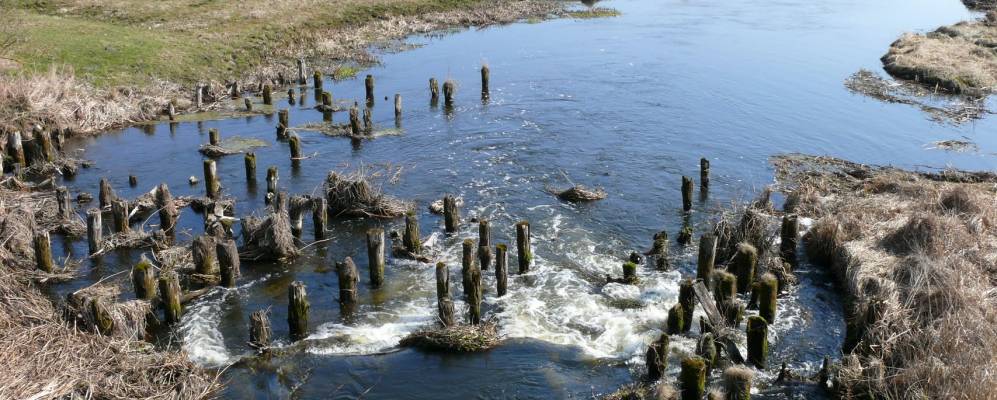 
            Фотография Руды