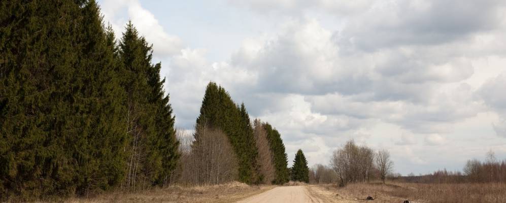 
            Фотография Люболяд