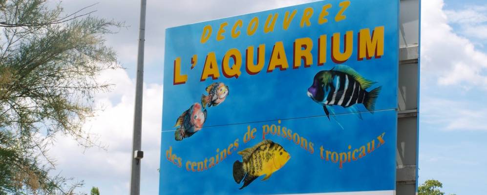 
            Фотография Аллекса