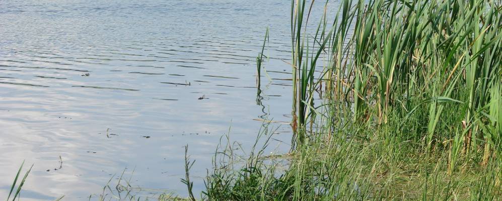 
            Фотография деревни Наседкина