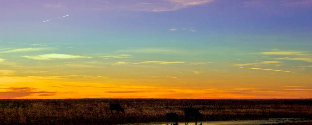 
            Фотография Уилтона