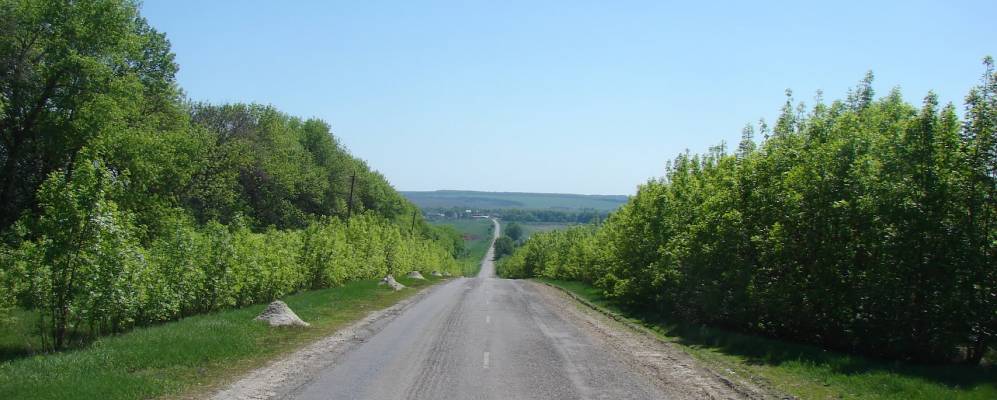 
            Фотография Слинковщины