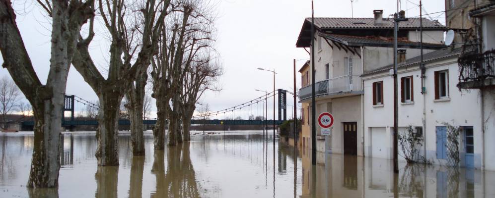 
            Фотография Марманда