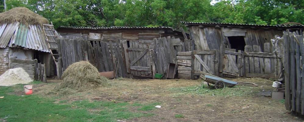 
            Фотография Арепьева