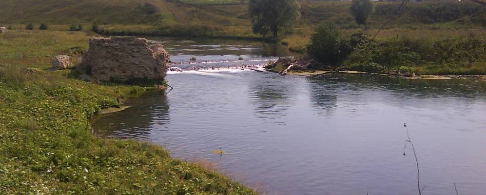 
            Фотография Камеево