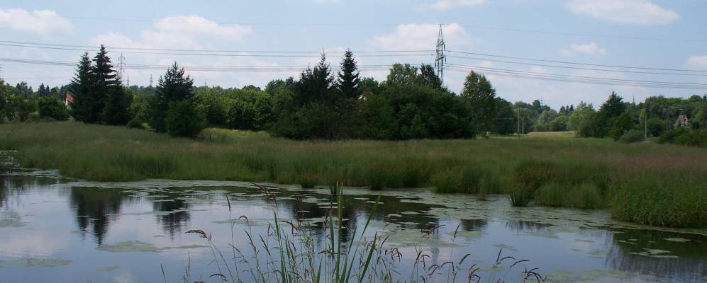 
            Фотография Доубравы