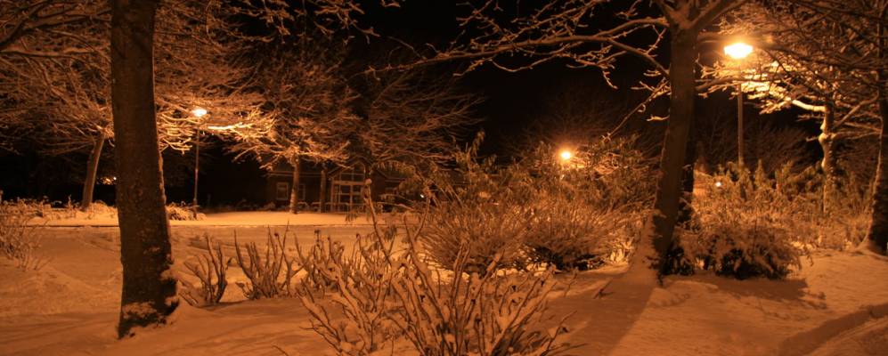 
            Фотография Вест Корнфорта