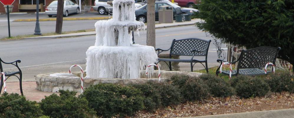 
            Фотография Рингголда