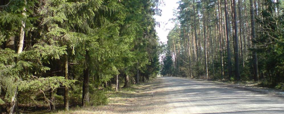 
            Фотография Логовища