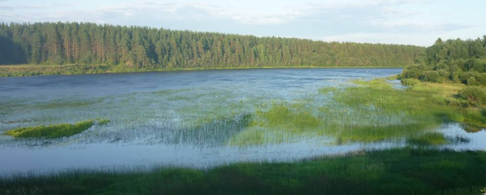 Фотография Зиново