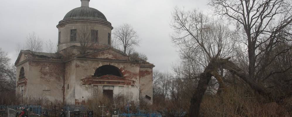 
            Фотография Коя