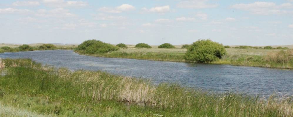 Фотография аула Соналы