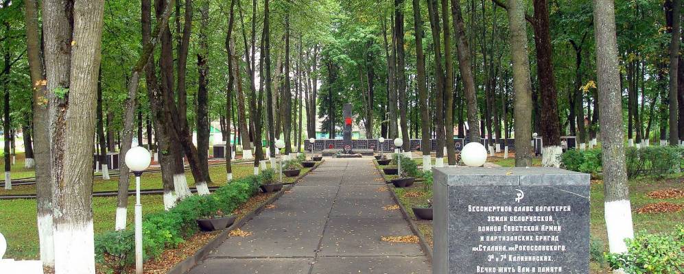 Фотография деревни Синицы