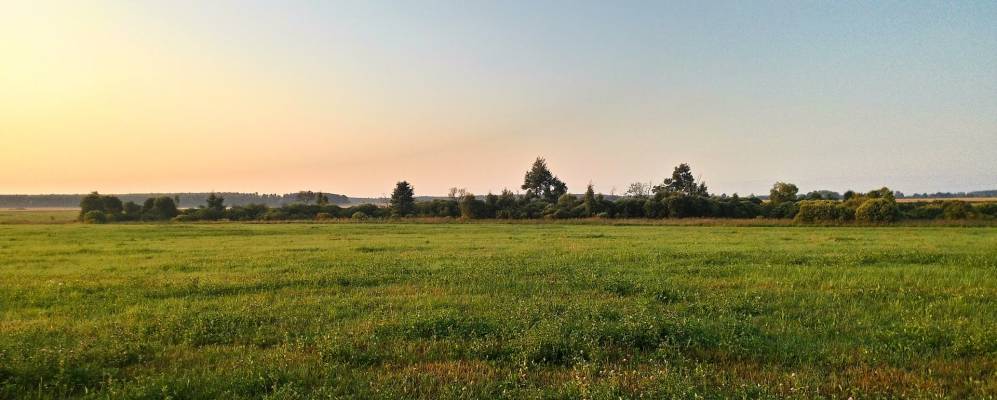 
            Фотография Сосновского