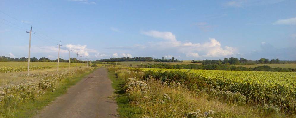 
            Фотография Глотовки