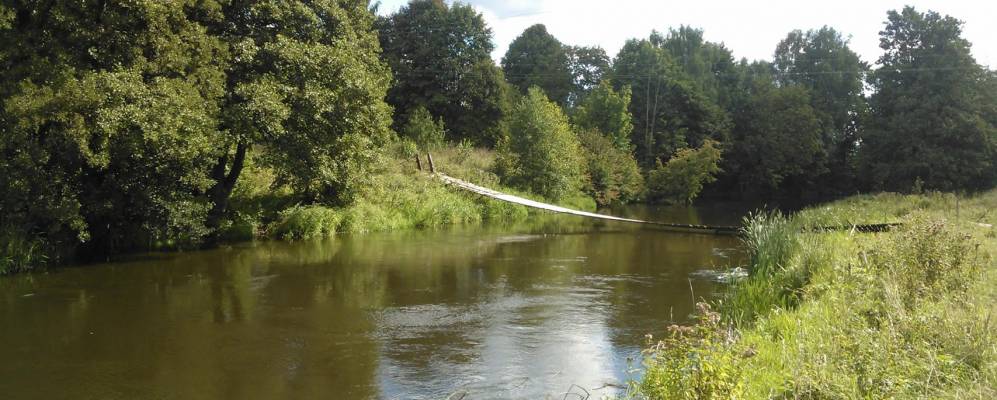 Фотография деревни Петрики