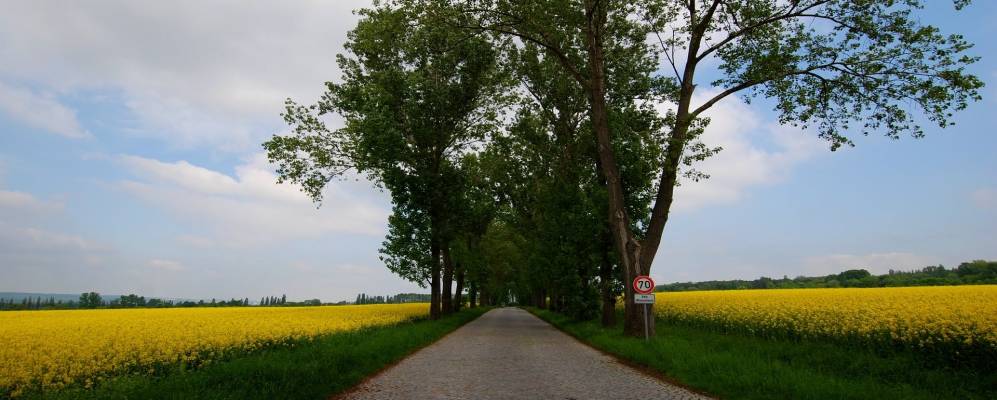 Фотография Nohra