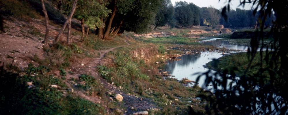 
            Фотография Шеки