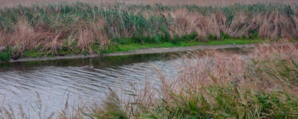 
            Фотография Приморского