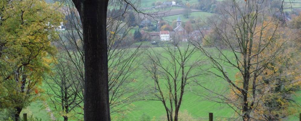 
            Фотография Хейенрата