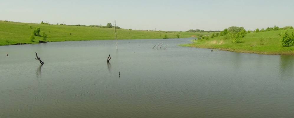 Фотография Щетинки