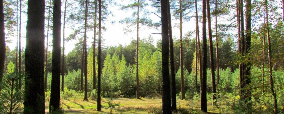 Фотография Подвилья