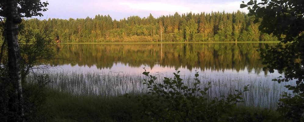 
            Фотография Пестово