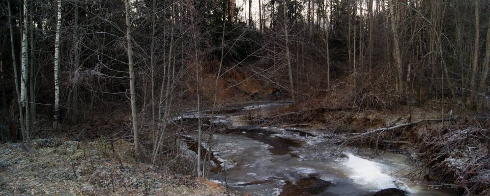 Фотография Меркушихи