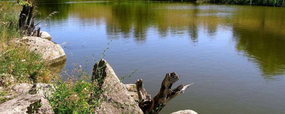 
            Фотография Скелеватки